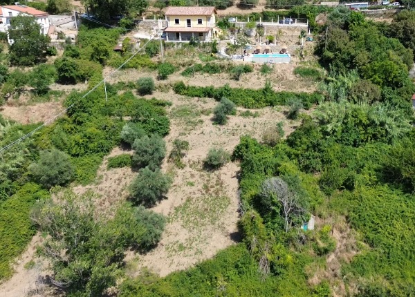 Sostieni il rinascimento artistico a Villa degli Artisti: un giardino da preservare