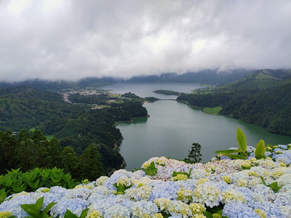 Contribuisci a realizzare il mio sogno letterario a Sao Miguel-Azzorre Contribuisci a realizzare il mio sogno letterario a Sao Miguel-Azzorre