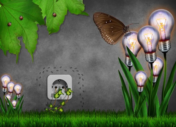 Investi nell'Elettrificazione UE: Sourcing Diretto di Grafite dal Brasile | Economico & Futuro