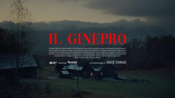 Il profumo avvolgente del Ginepro