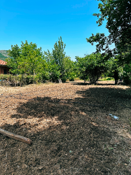 "Coltiva con noi l'Orto Félix: radici di solidarietà nel Parco Nazionale Abruzzo, Lazio e Molise"