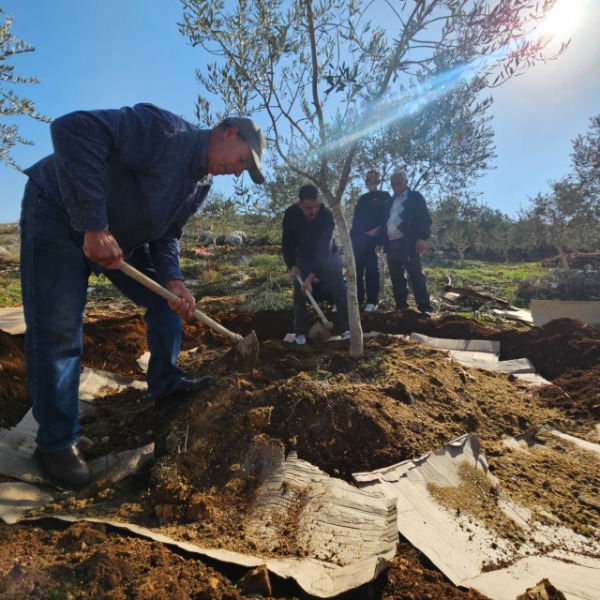 OliviCultura di Pace: sostieni gli agricoltori palestinesi nella difesa della loro terra