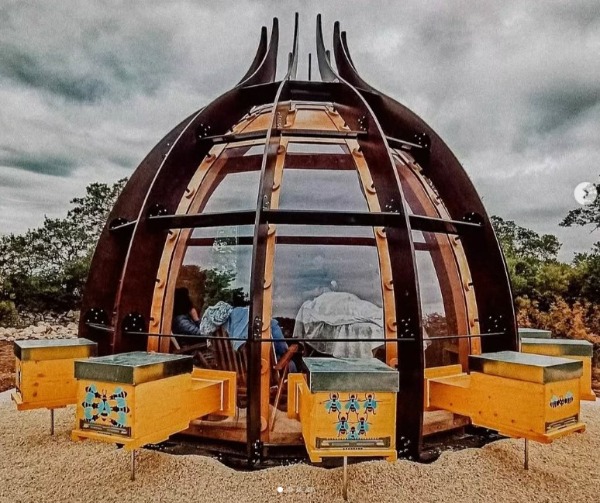 Empowerment Bees and Beekeeping: support Holistic Apiary