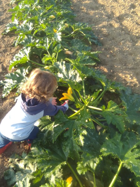 Sostieni Terra di Sirio
