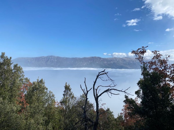 “Living in the Place – Roots, Nature and Future” - Abitare il Luogo – Radici, Natura e Futuro “Living in the Place – Roots, Nature and Future” - Abitare il Luogo – Radici, Natura e Futuro