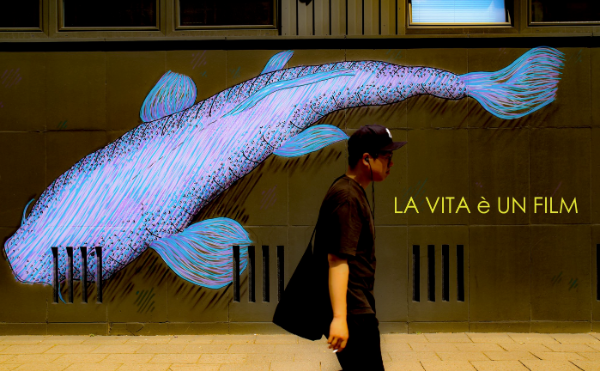 LA VITA è UN FILM