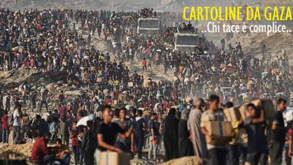 Cartoline da Gaza