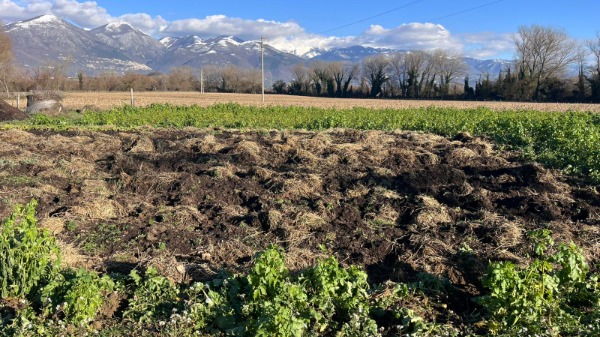 Sostieni I GIARDINI DI MAFALDA: un gesto per far rifiorire la natura e la flower farm