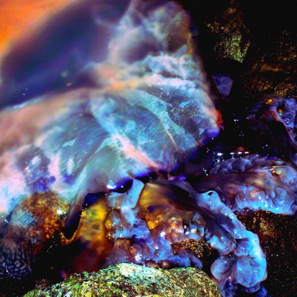 Pre-ordina “Il territorio delle meduse”, il primo disco in vinile dei Katana Koala Kiwi