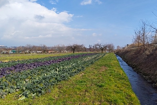 Fattoria didattica NaturaBiella: insieme per preservare la natura
