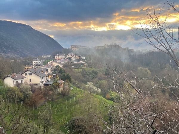 Radici di Futuro: Il Risveglio di una Collina
