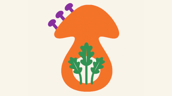 Aiuta Funghi del Bardo ad applicare la micologia in servizi concreti per ambiente e agricoltura