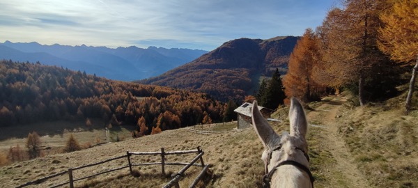 Via Equestre Nazionale