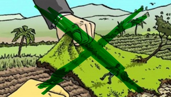 Da terreno abbandonato a oasi di cibo sano: aiutaci a farlo rinascere