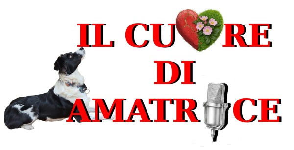 un caffè sospeso per Il cuore di Amatrice un caffè sospeso per Il cuore di Amatrice