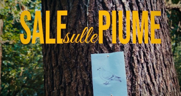 Sale sulle piume - short film Sale sulle piume - short film