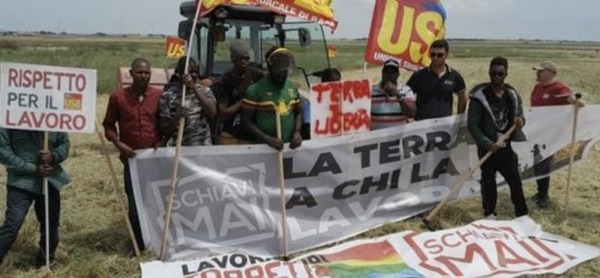Dal Gran Ghetto alla tua tavola, una filiera di lotta! Al via la campagna di preacquisto del pomodoro Terra e Libertà delle terre occupate di Torretta Antonacci