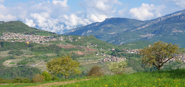 Biodiversità e salute per Brentonico: dona ora! Biodiversità e salute per Brentonico: dona ora!