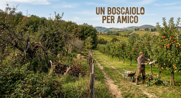 L'albero Ritrovato : Il risveglio dei frutteti dimenticati attraverso l'agricoltura rigenerativa. L'albero Ritrovato : Il risveglio dei frutteti dimenticati attraverso l'agricoltura rigenerativa.