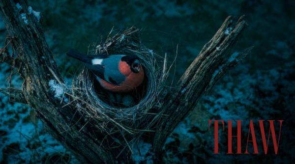 Thaw – Short film