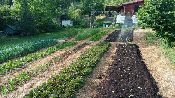 Non ci sono più le mezze stagioni...Vogliamo provare a salvare i raccolti, aiutaci a comprare una serra! Non ci sono più le mezze stagioni...Vogliamo provare a salvare i raccolti, aiutaci a comprare una serra!