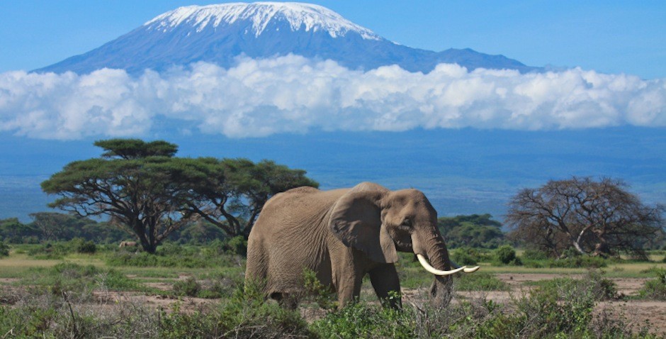 TANZANIA. LA SCONOSCIUTA.