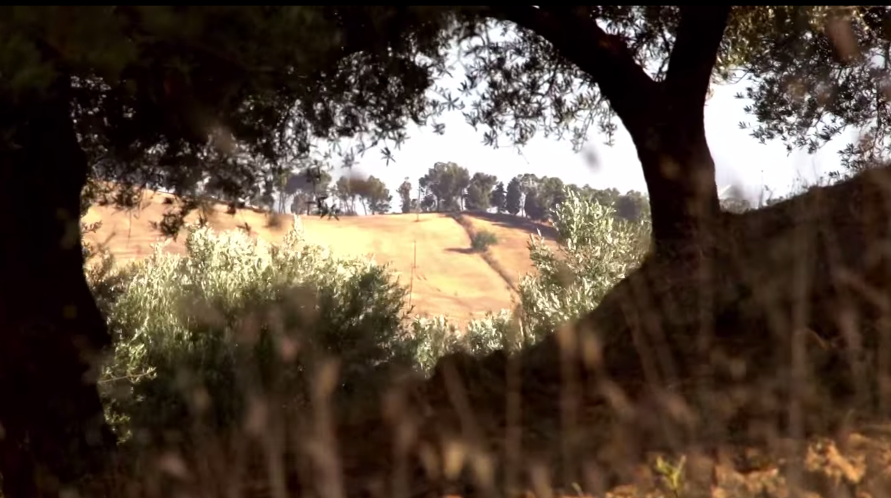 Una via consapevole Una via consapevole