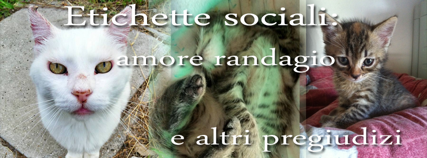 Etichette sociali: un amore randagio e altri pregiudizi