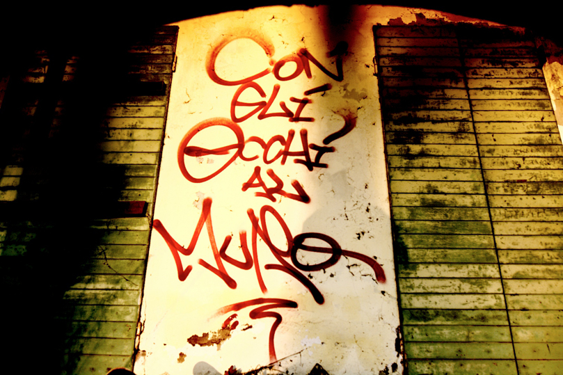 CON GLI OCCHI AL MURO
 - ricognizione e reportage sullo stato della street art in Italia