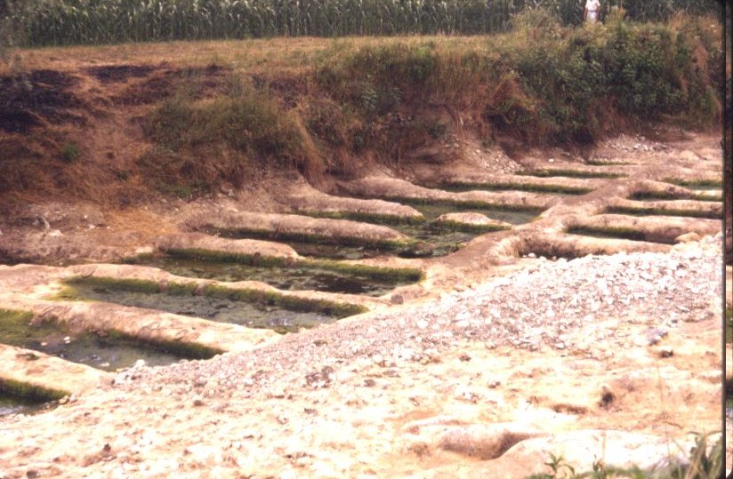 Adotta una Vasca Romana