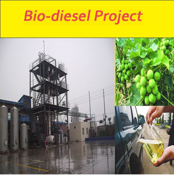 REALIZZAZIONE DI UN IMPIANTO BIO-DIESEL E BIO-BENZINA