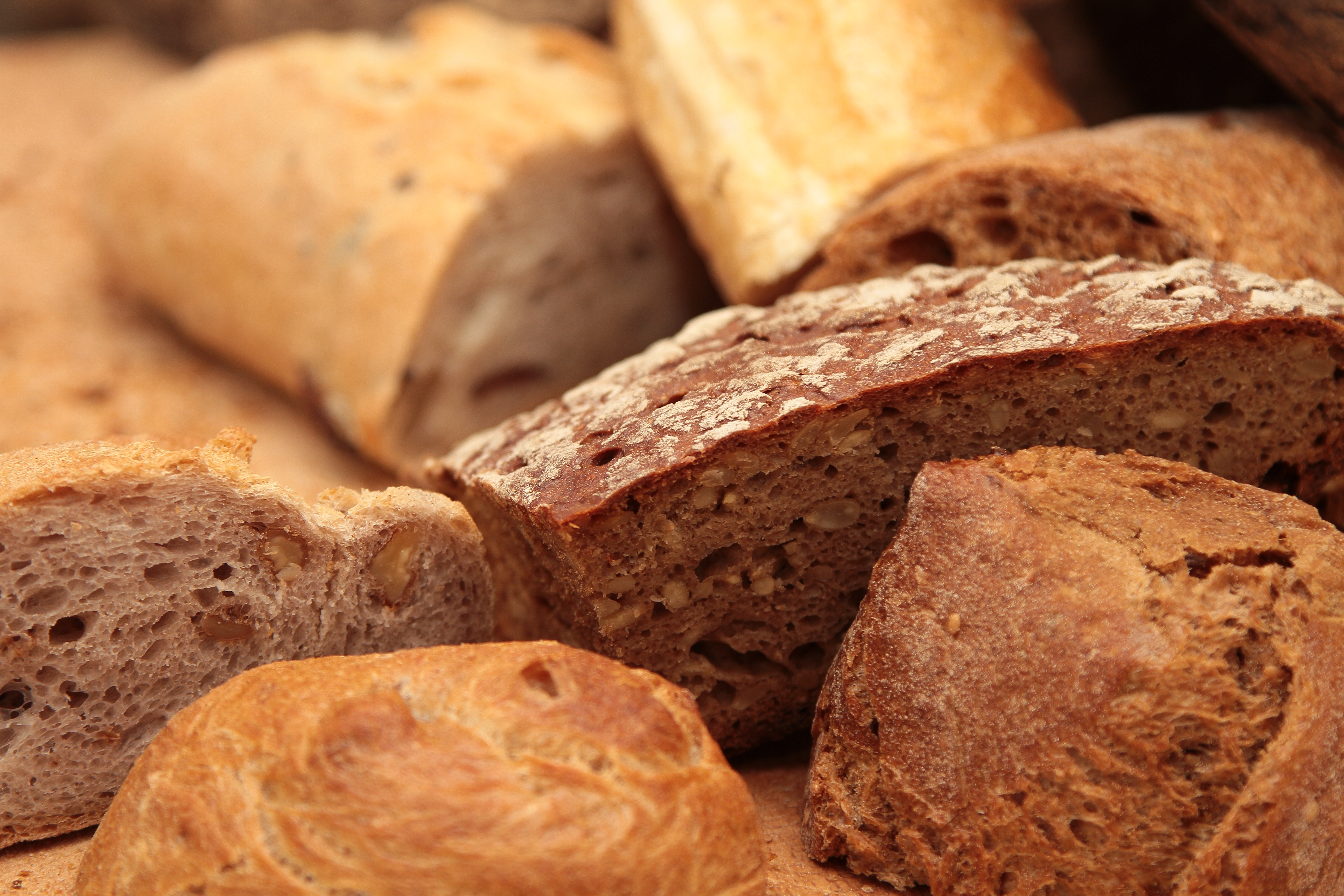 FORNO APERTO
dal grano al pane contadino