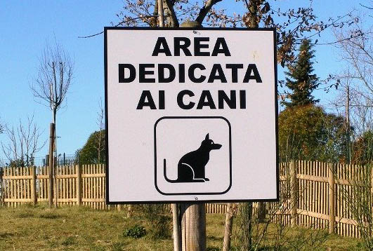 Raccolta fondi per creazione area sgambamento cani