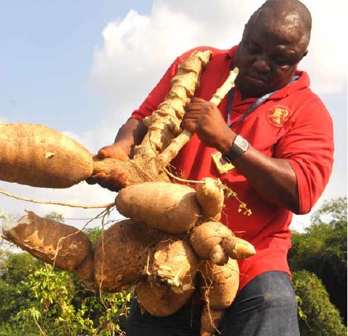 La Cassava di Charles