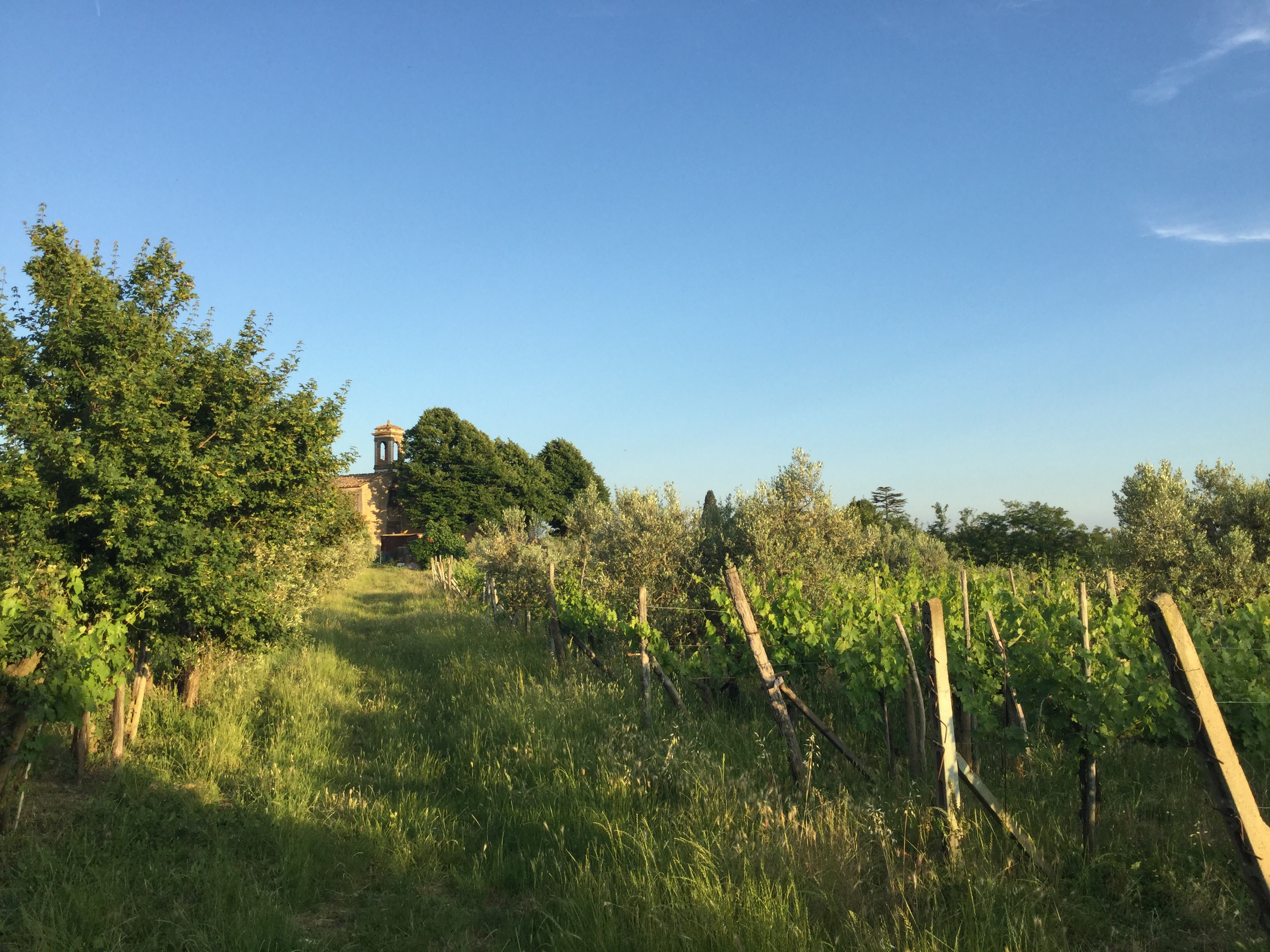 Una nuova cantina nel Chianti.