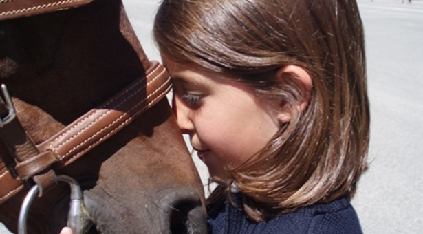 Un cavallo per amico