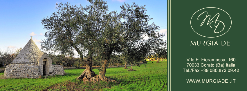 Rebranding "Olivetta"