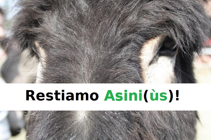 Asiniùs - La (prima) rivista online degli Asini