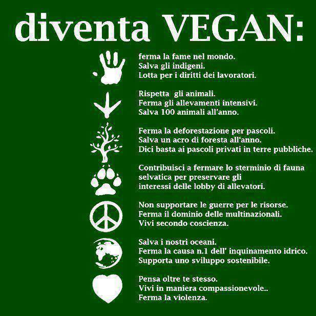 IL MAMI - RISTORANTE DI ALTA CUCINA NATURALE