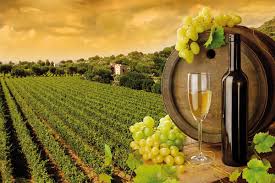 Imbottigliamento e commercializzazione Vino ed Olio Siciliano;