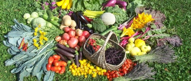 Il pozzo delle meraviglie   

                      Aiutateci a costruirlo!
