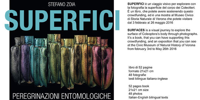 SUPERFICI - peregrinazioni entomologiche (SURFACES - entomological peregrinations)