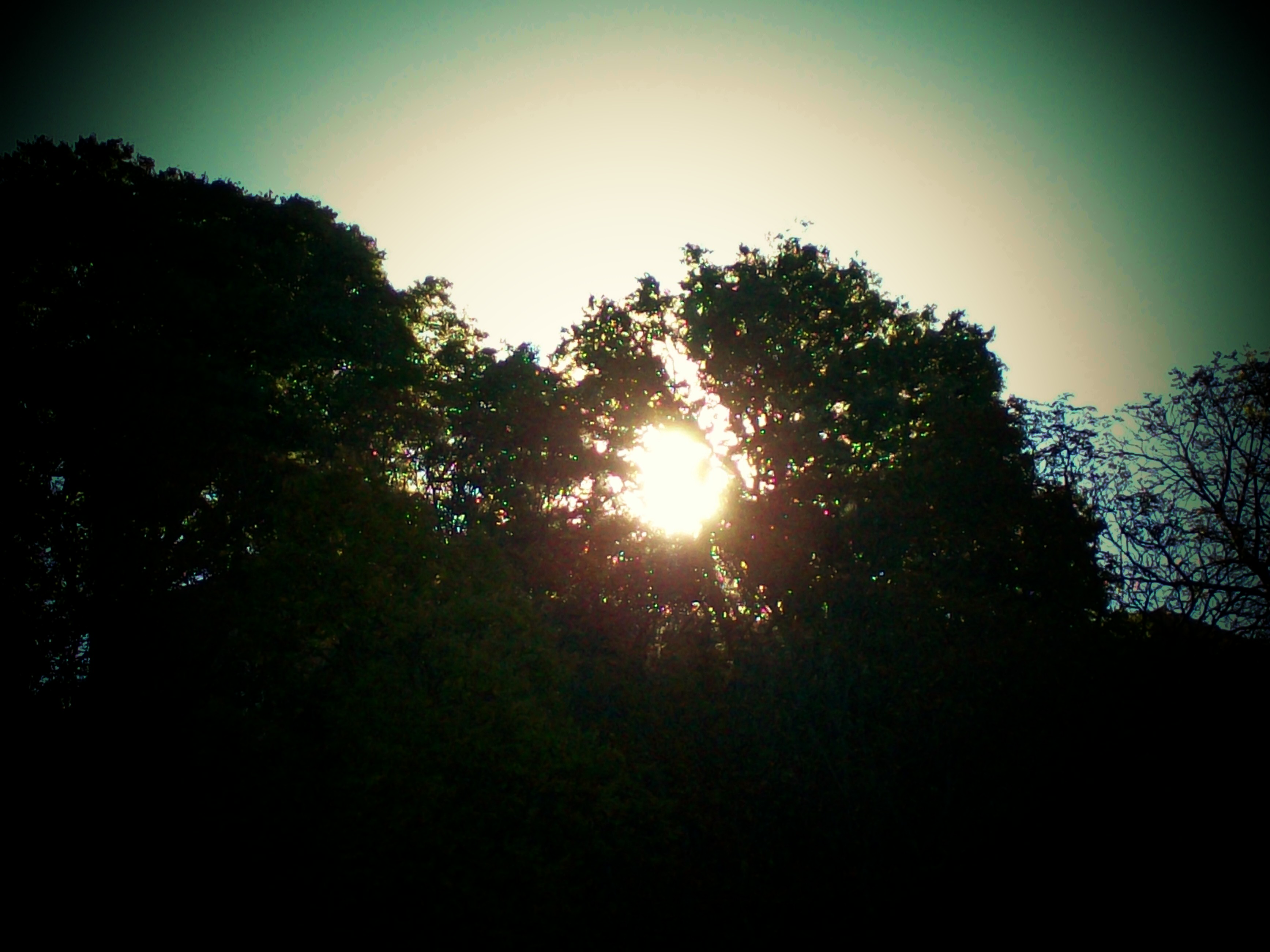 Controluce