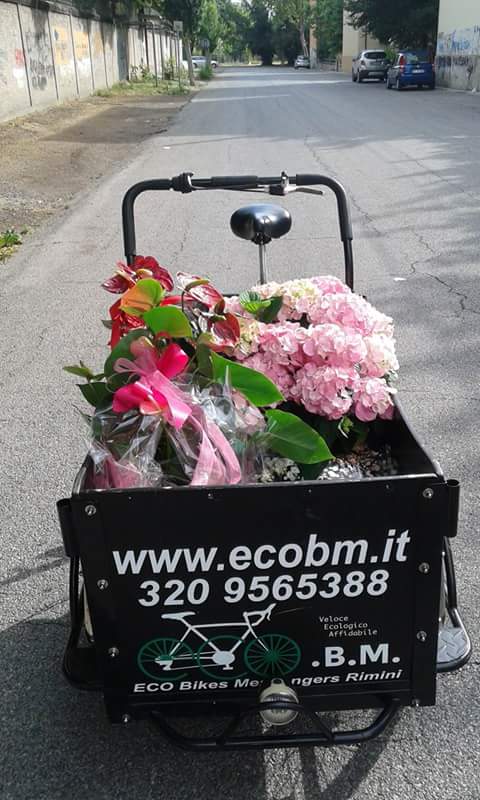 ECO bike messanger