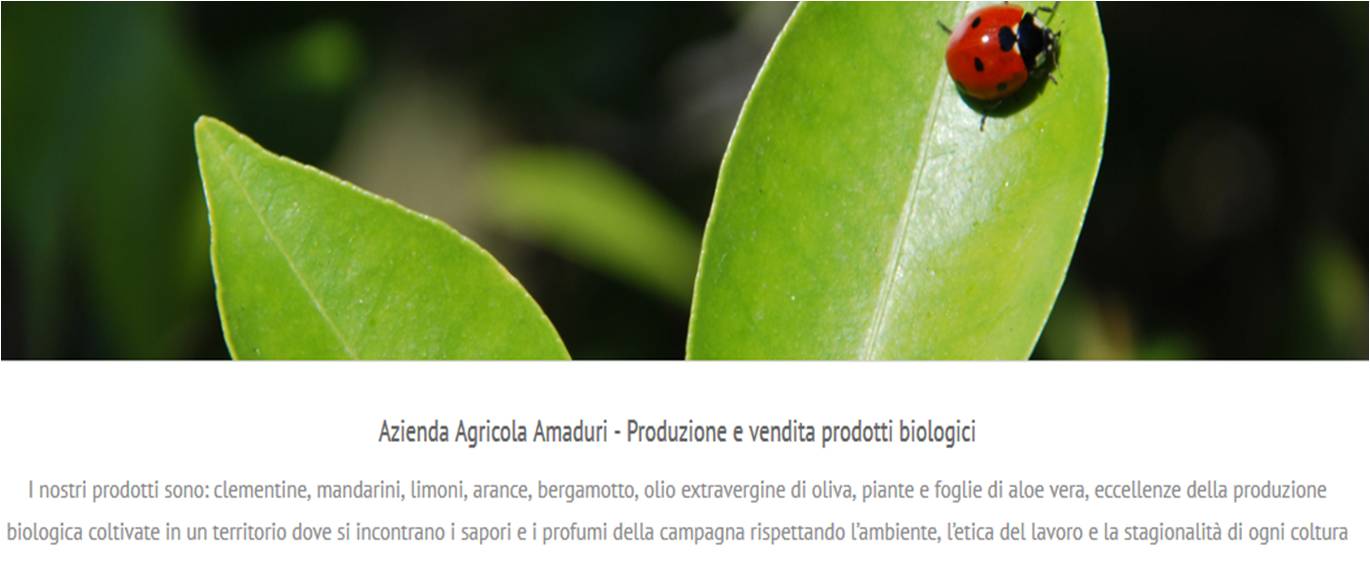 Una agricoltura italiana ecosostenibile ed equo-solidale
