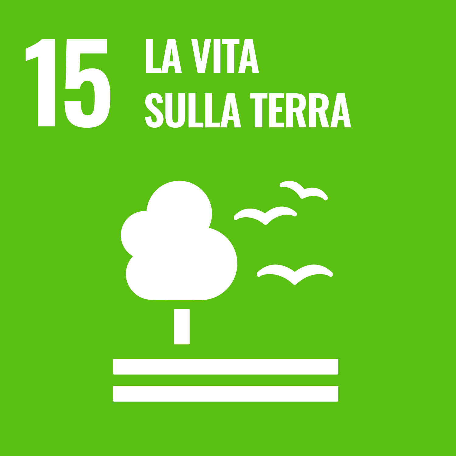 15. Vita sulla terra