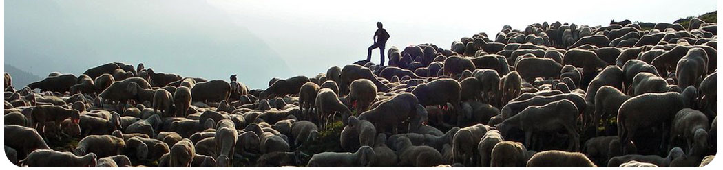 A PASSO D'UOMO TRA I PASTORI